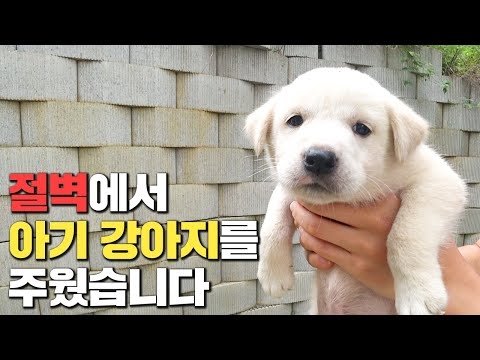 바그 로프의 손자의 어린 시절