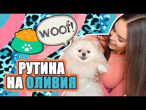 Г-жа Ян убива куче, за да разсъждава със съпруга си