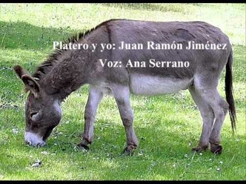 Platero ir aš