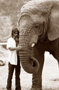 Man and elephant