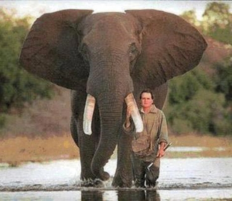 Hombre y elefante