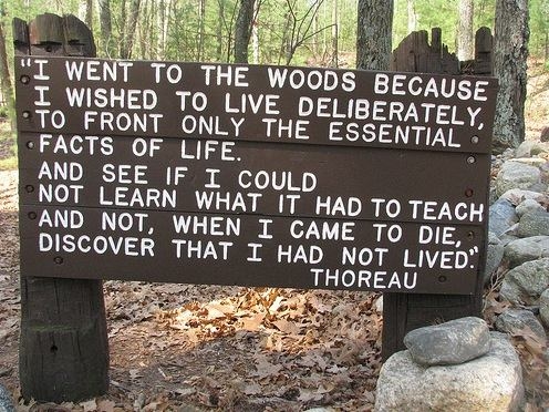 Walden eller Livet i skoven
