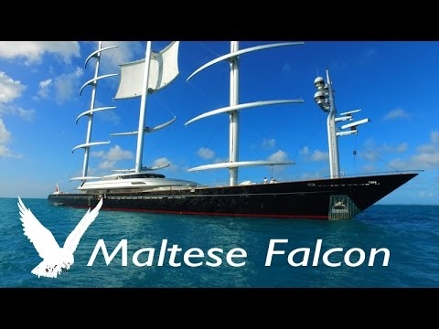 Maltesischer Falke