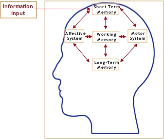 Introduktion til viden om det menneskelige sind