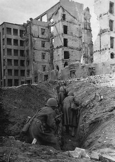 Trong các chiến hào của Stalingrad