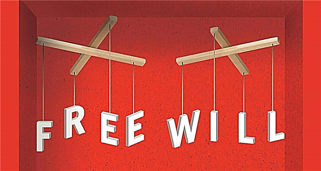 Free will that does not exist