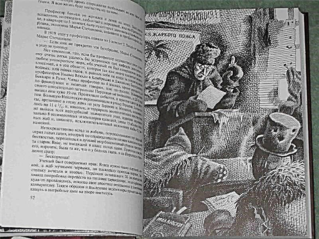 ملخص كتاب "ملاحظات طبيب شاب" على أساس القصص القصيرة (M. A. Bulgakov)