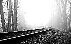 Analyse des Gedichts "Eisenbahn" (N. A. Nekrasov)