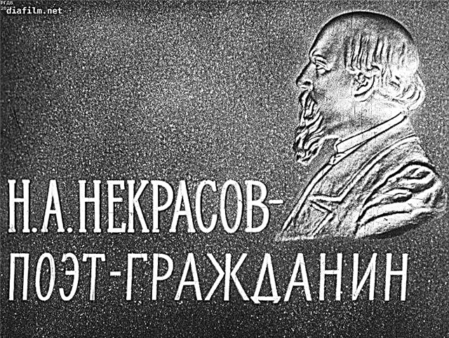 Analyse du poème "Le poète et le citoyen" (N. A. Nekrasov)