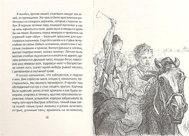 Най-краткото съдържание на съчинението „Бежин поляна” за читателския дневник (И. С. Тургенев)