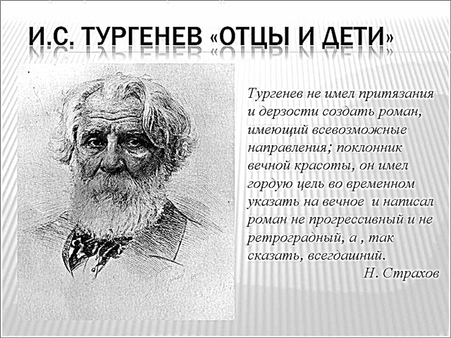 ملخص رواية "الآباء والأبناء" بحسب الفصل (I. S. Turgenev)
