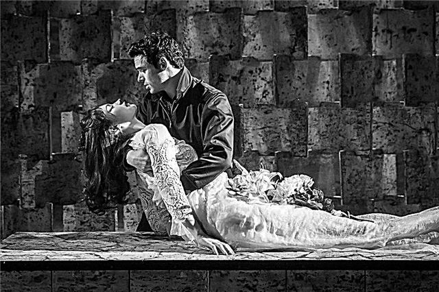 Ulasan drama “Romeo and Juliet” untuk buku harian pembaca (W. Shakespeare)