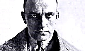 Analysis of Mayakovsky’s poem “Could you?”
