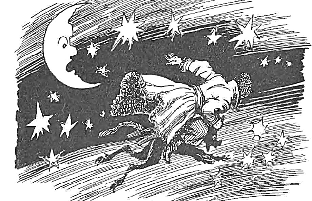 El contenido más corto de la historia "La noche antes de Navidad" (N.V. Gogol)