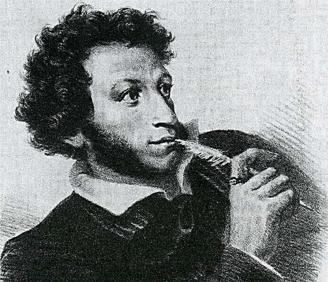 A small essay about Pushkin