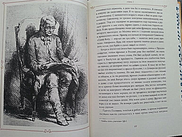 O conteúdo mais curto da "Filha do Capitão" para o diário do leitor (A. S. Pushkin)