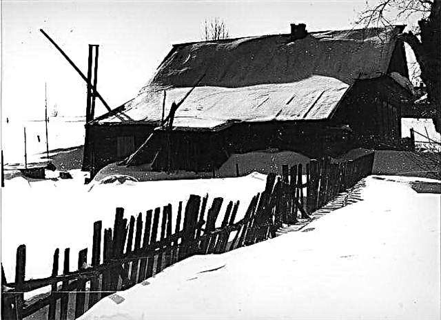 S. A. Yesenin के गीतों में मातृभूमि की छवि