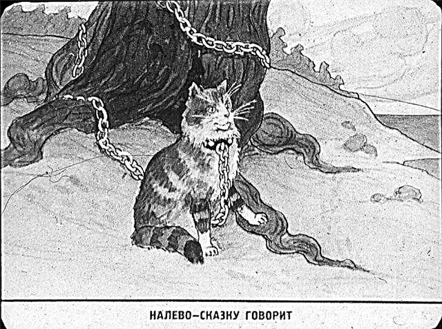 Top 7 children's stories A.S. Pushkin