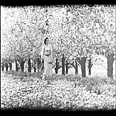 Pahlawan masa dalam drama "The Cherry Orchard" (A.P. Chekhov)