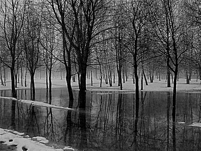 تحليل القصيدة F. I. Tyutchev "مياه الينابيع"
