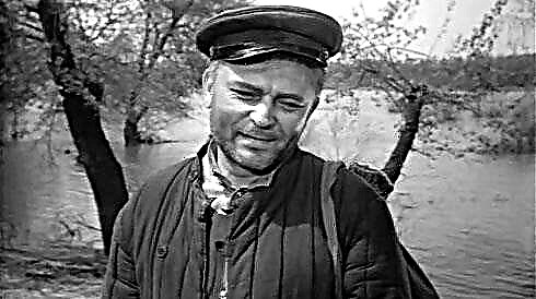 Patriotisme i historien om M. Sholokhov “Menneskenes skjebne”