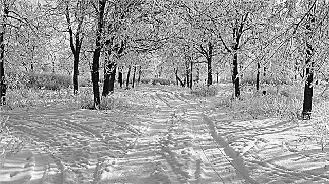 Análisis del poema A.S. "Mañana de invierno" de Pushkin