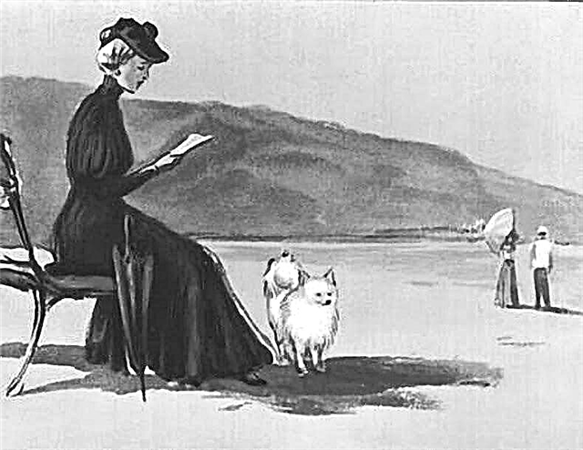 موضوع الحب في قصة تشيكوف القصيرة "سيدة مع كلب"